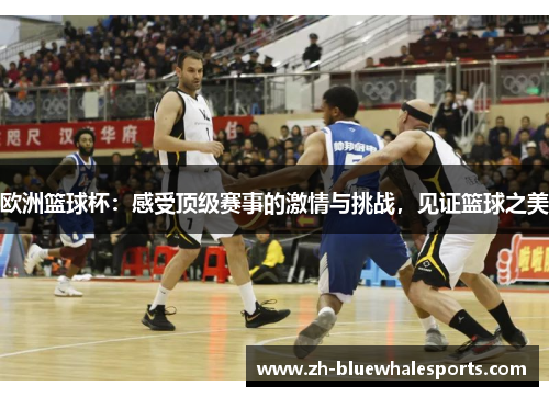 欧洲篮球杯：感受顶级赛事的激情与挑战，见证篮球之美