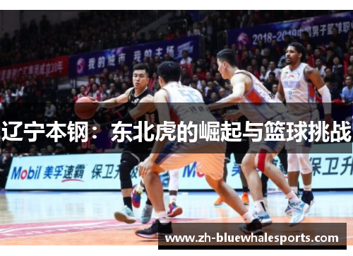 辽宁本钢：东北虎的崛起与篮球挑战