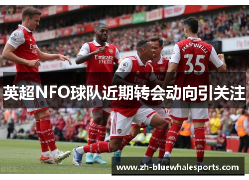 英超NFO球队近期转会动向引关注